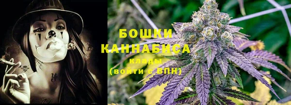 сатива Арсеньев