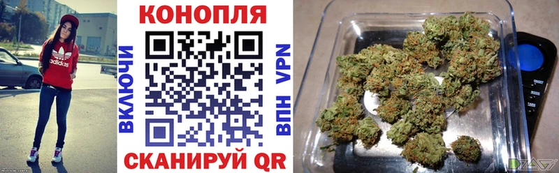 Бошки марихуана планчик Макарьев