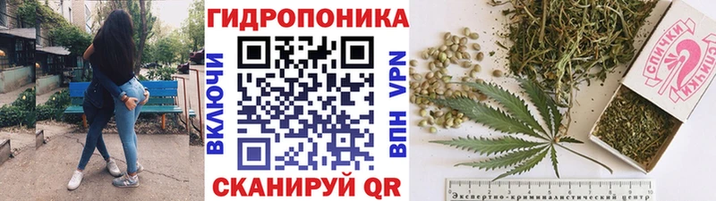 Канабис марихуана  купить закладку  Макарьев 